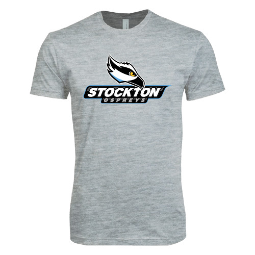  Next Level Heather Grey SoftStyle T Shirt - Official Logo