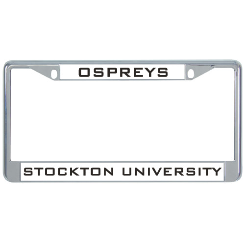  Metal License Plate Frame in Chrome - Mascot