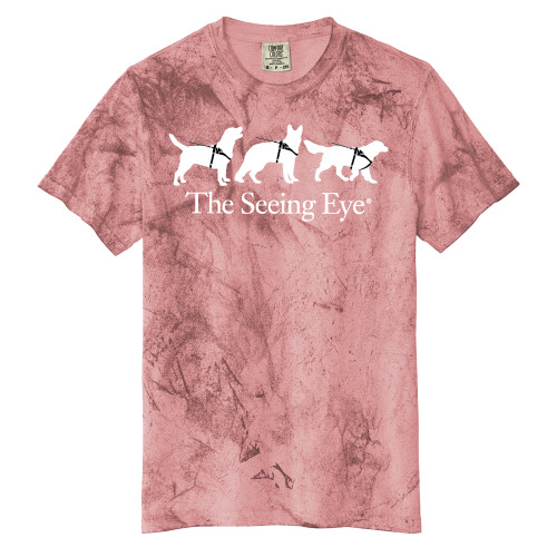 The Seeing Eye Comfort Colors Red Heavyweight Color Blast Tee