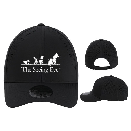 The Seeing Eye Imperial Black The Alpha Cap