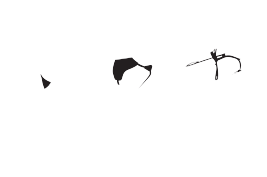 The Seeing Eye Fans