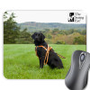 Thumbnail image for  Full Color Mousepad