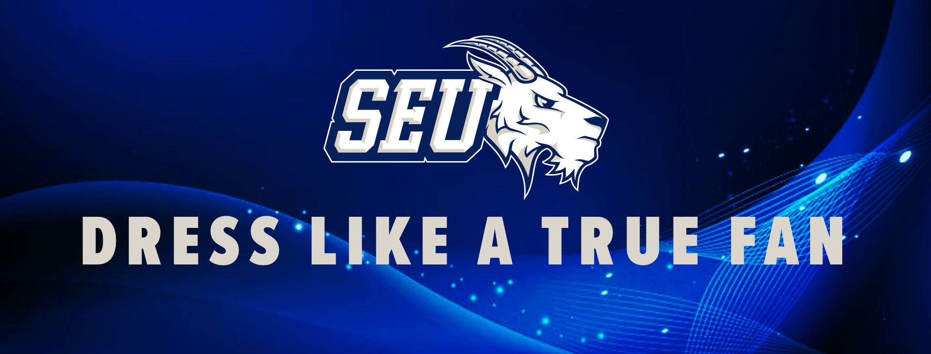 Promotional banner