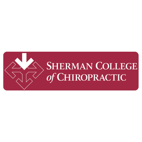 Extra Large Decal-College Logo