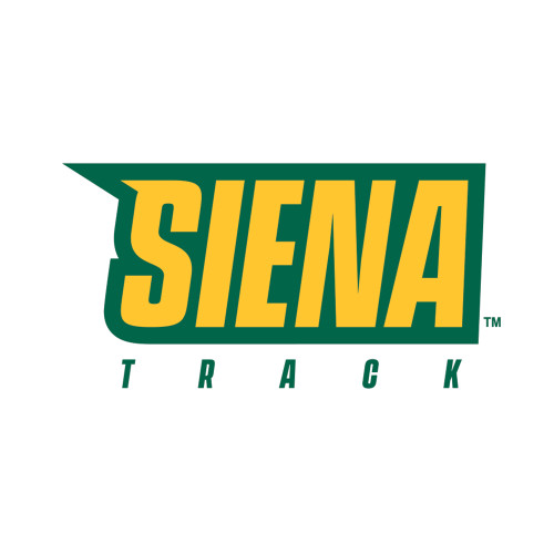  Medium Decal - Siena Track