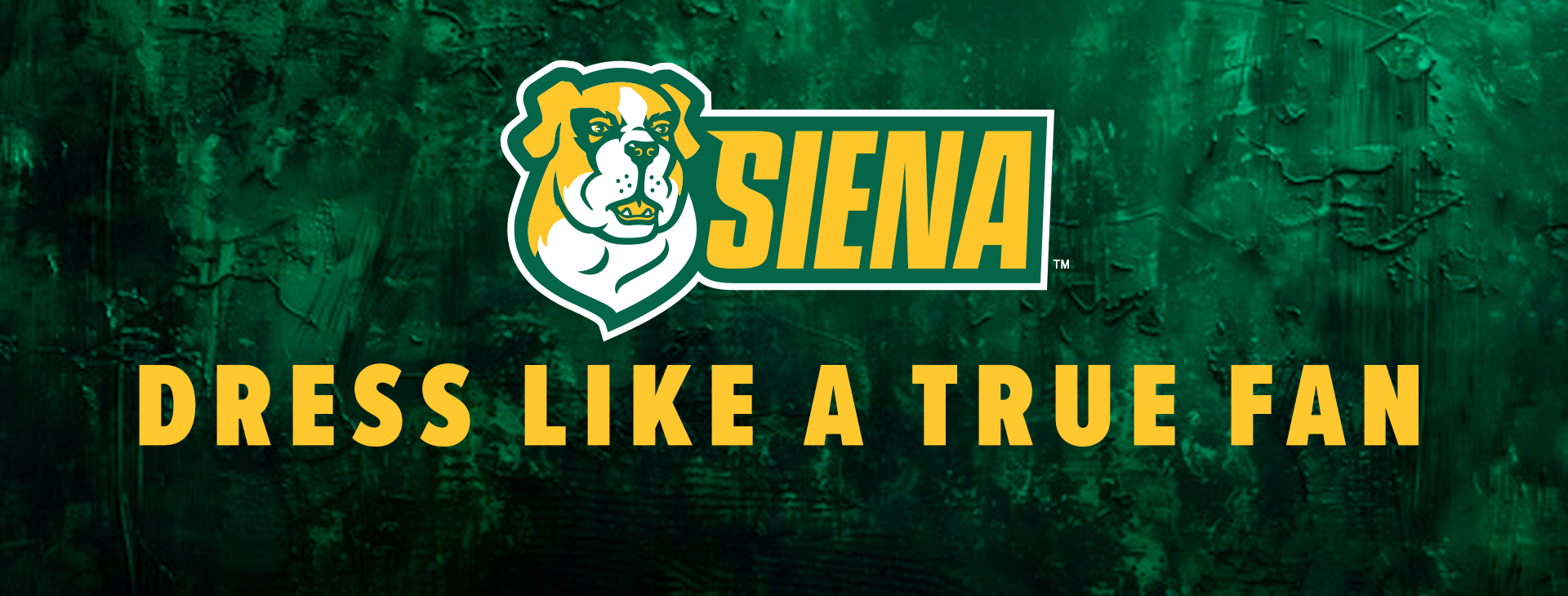 Promotional banner