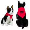 Thumbnail image for  Red Pet Bandana