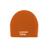 Thumbnail image for  Orange Knit Beanie