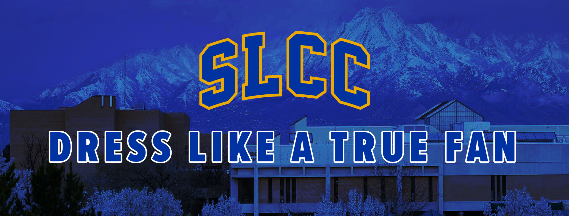 Promotional banner