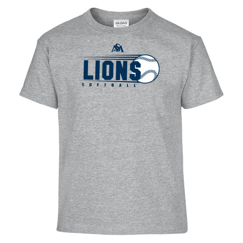 Main Image for  Youth Grey T Shirt