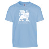 Thumbnail image for  Youth Light Blue T Shirt