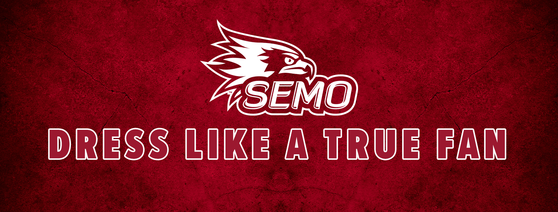 Promotional banner
