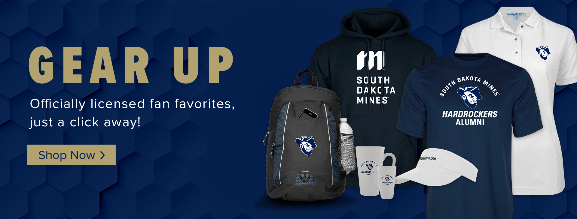 Promotional banner