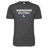 Thumbnail image for  Next Level Charcoal SoftStyle T Shirt