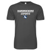 Thumbnail image for  Next Level Charcoal SoftStyle T Shirt