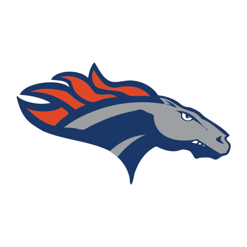  Medium Decal - SUNY Orange Colt