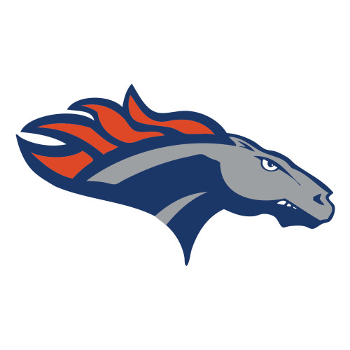  Large Decal - SUNY Orange Colt