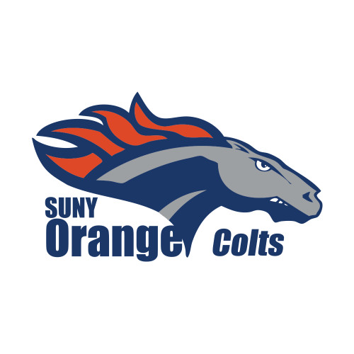  Small Decal - Primary Logo