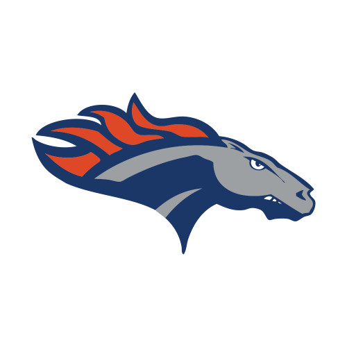 Small Decal - SUNY Orange Colt