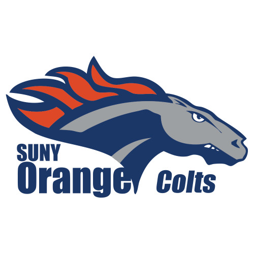 Extra Large Decal - Primary Logo