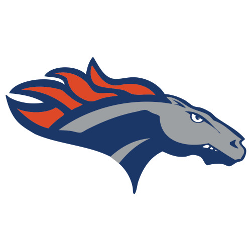  Extra Large Decal - SUNY Orange Colt