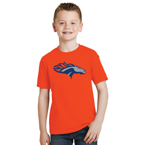 Main Image for  Youth Orange T Shirt