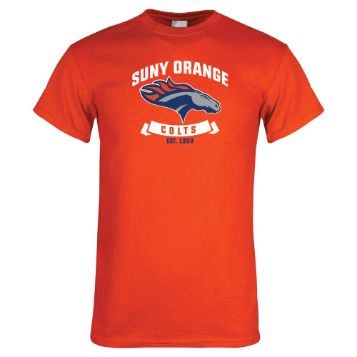 Main Image for  Orange T Shirt