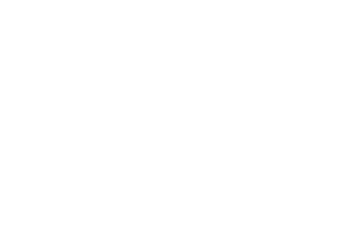 Special Olympics NY Fans