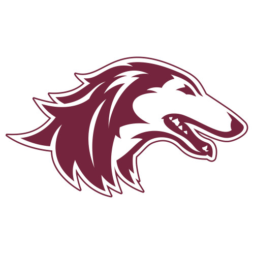  Extra Large Decal - Saluki