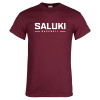 Thumbnail image for  Maroon T Shirt