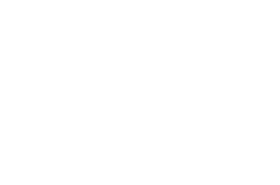University of Southwest Mustangs