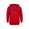 Thumbnail image for  Youth Red Fleece Hoodie
