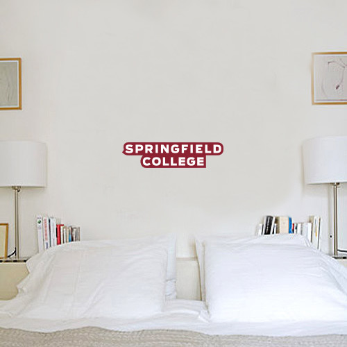  6 in x 1 ft Fan WallSkinz - Springfield College