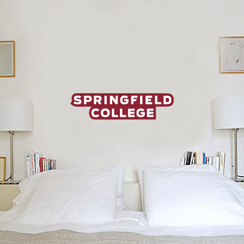  6 in x 2 ft Fan WallSkinz - Springfield College