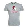 Thumbnail image for  Next Level Heather Grey SoftStyle T Shirt