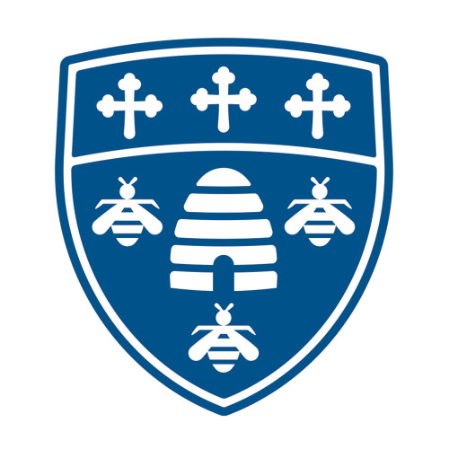  Medium Decal - SAU Shield