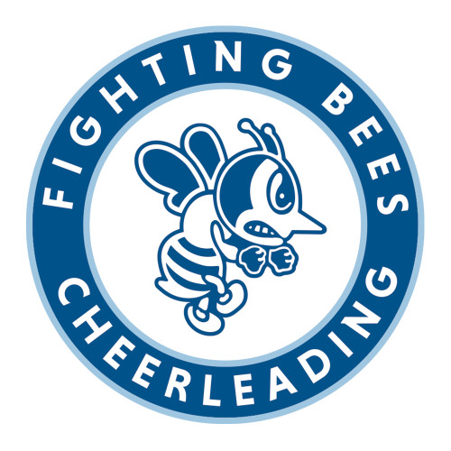 Medium Decal - St Ambrose - Cheerleading