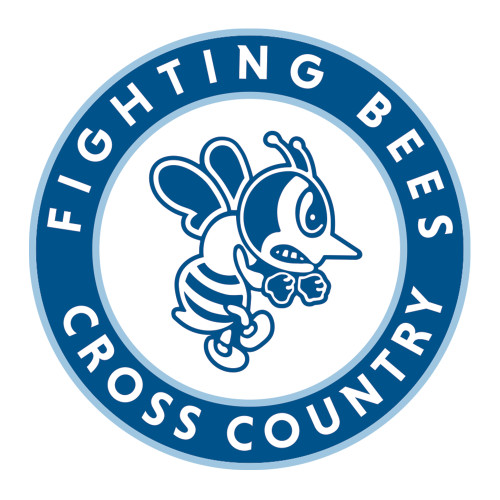  Medium Decal - St Ambrose - Cross Country