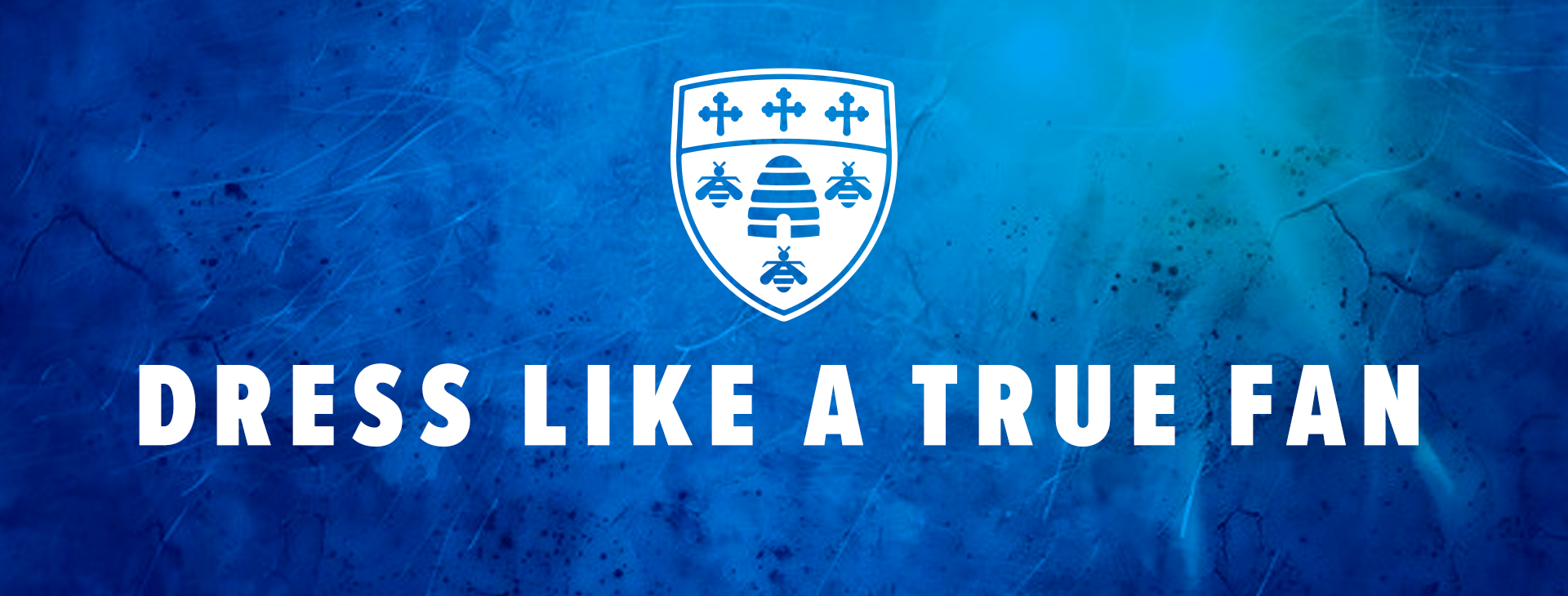 Promotional banner