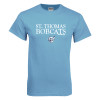 Thumbnail image for  Light Blue T Shirt