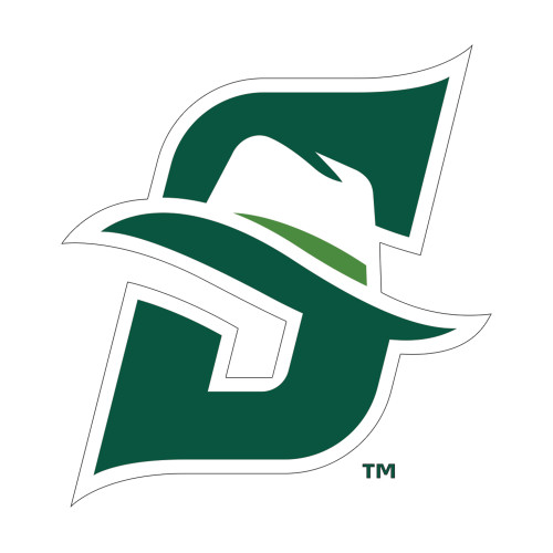  Medium Decal - Primary logo