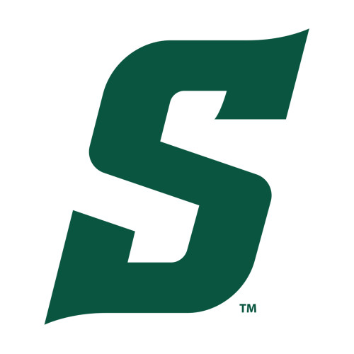  Medium Decal - Secondary Logo