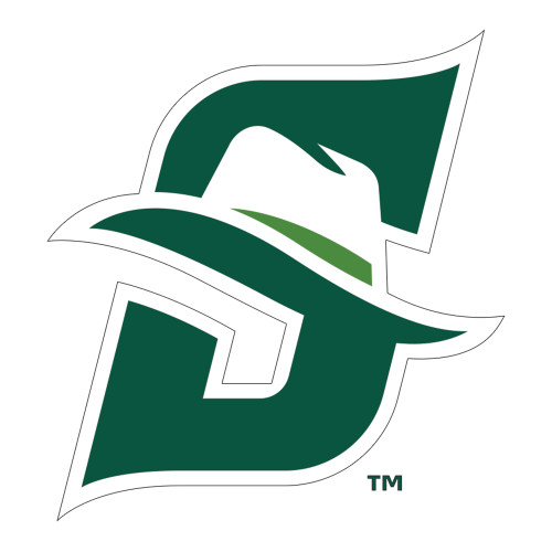  Large Decal - Primary logo
