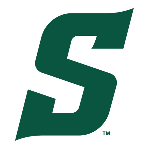  Large Decal - Secondary Logo