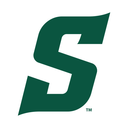  Small Decal - Secondary Logo