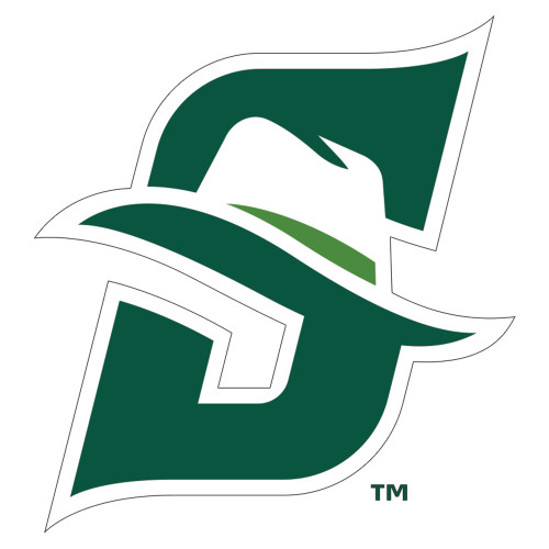  Extra Large Decal - Primary logo
