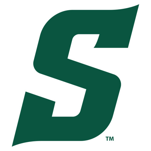  Extra Large Decal - Secondary Logo
