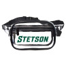 Thumbnail image for  Clear Fanny Pack