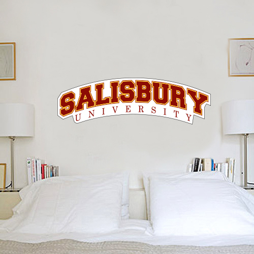  2 ft x 6 ft Fan WallSkinz - Arched Salisbury University