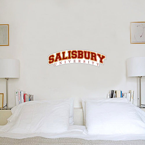  1 ft x 3 ft Fan WallSkinz - Arched Salisbury University